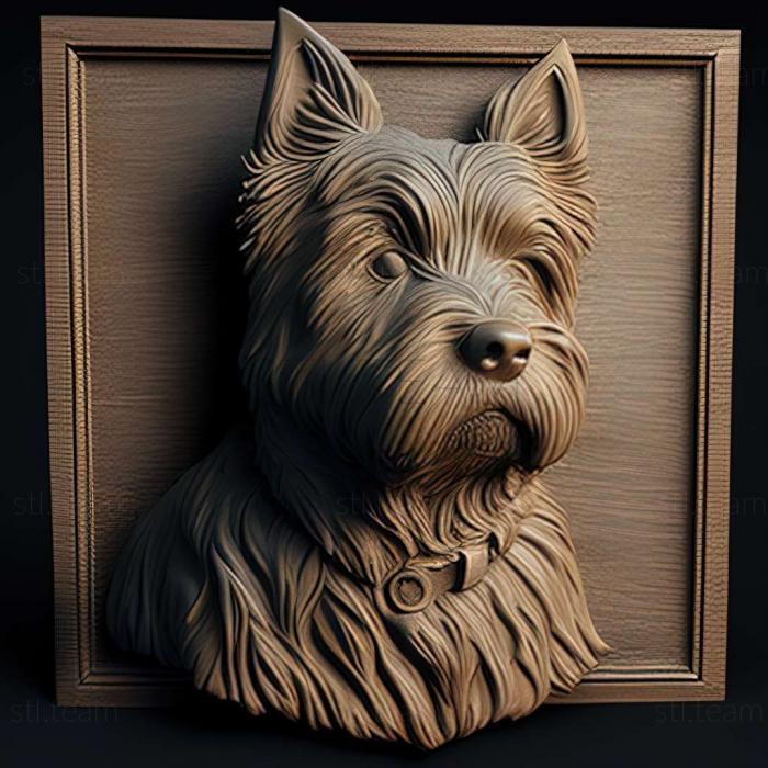 3D model Czech Terrier dog (STL)